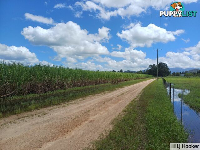 262870 Gibbs Road MUNRO PLAINS QLD 4854