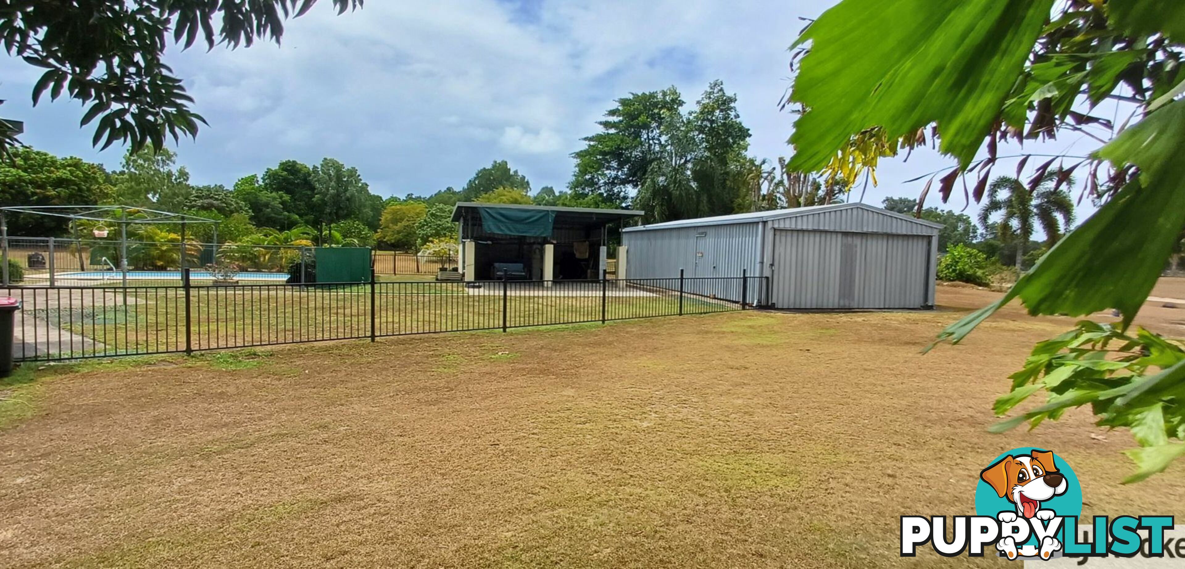 23 Vipiana Drive TULLY HEADS QLD 4854