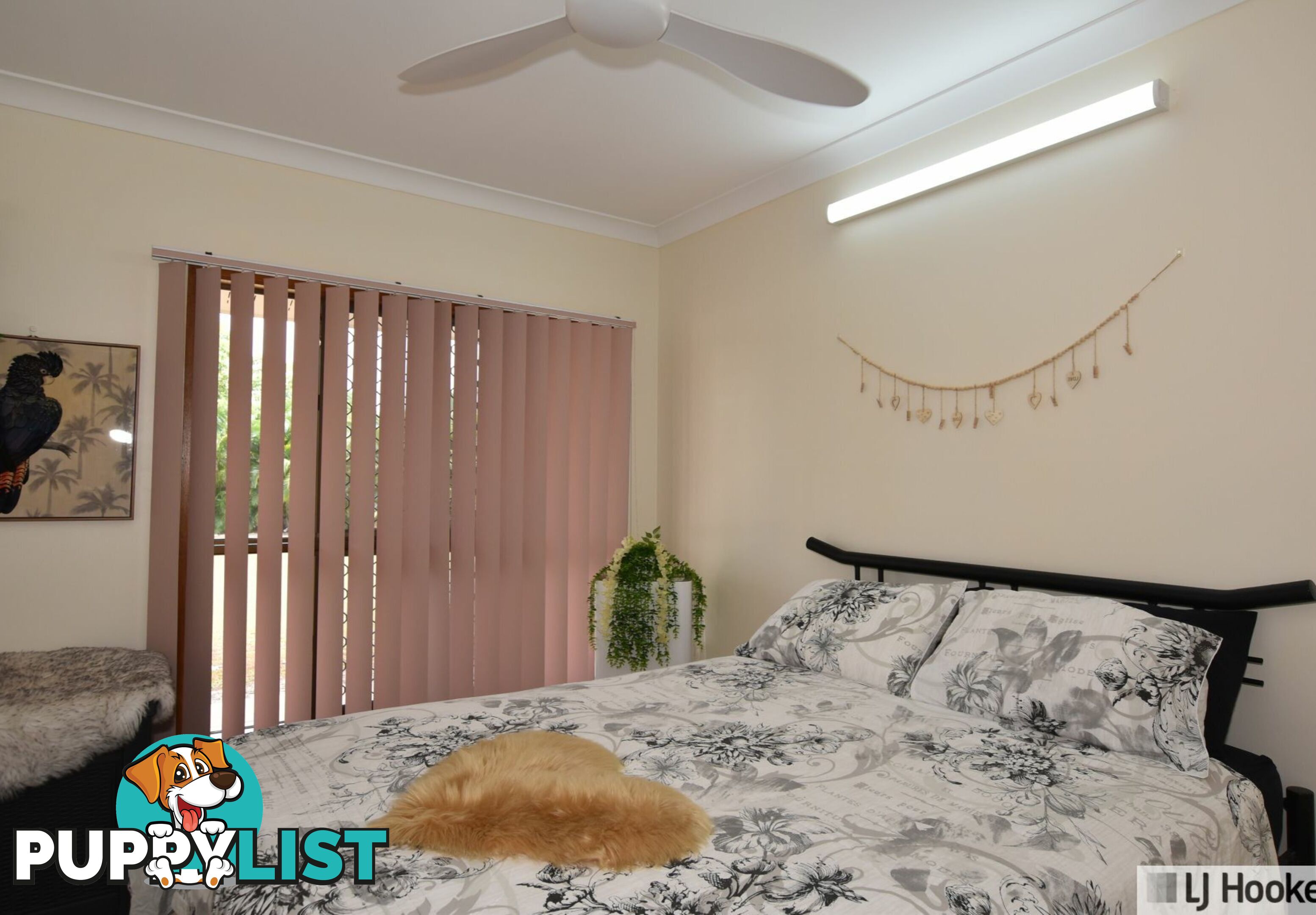 23 Vipiana Drive TULLY HEADS QLD 4854