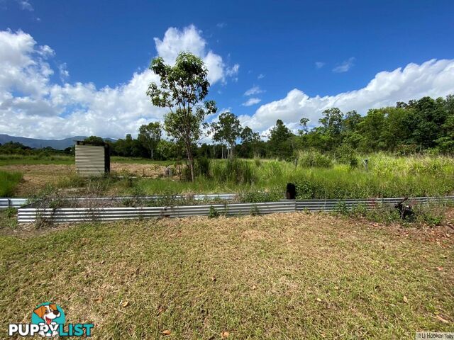 L8 Whitfield Creek Road KENNEDY QLD 4816