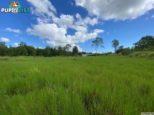 L8 Whitfield Creek Road KENNEDY QLD 4816