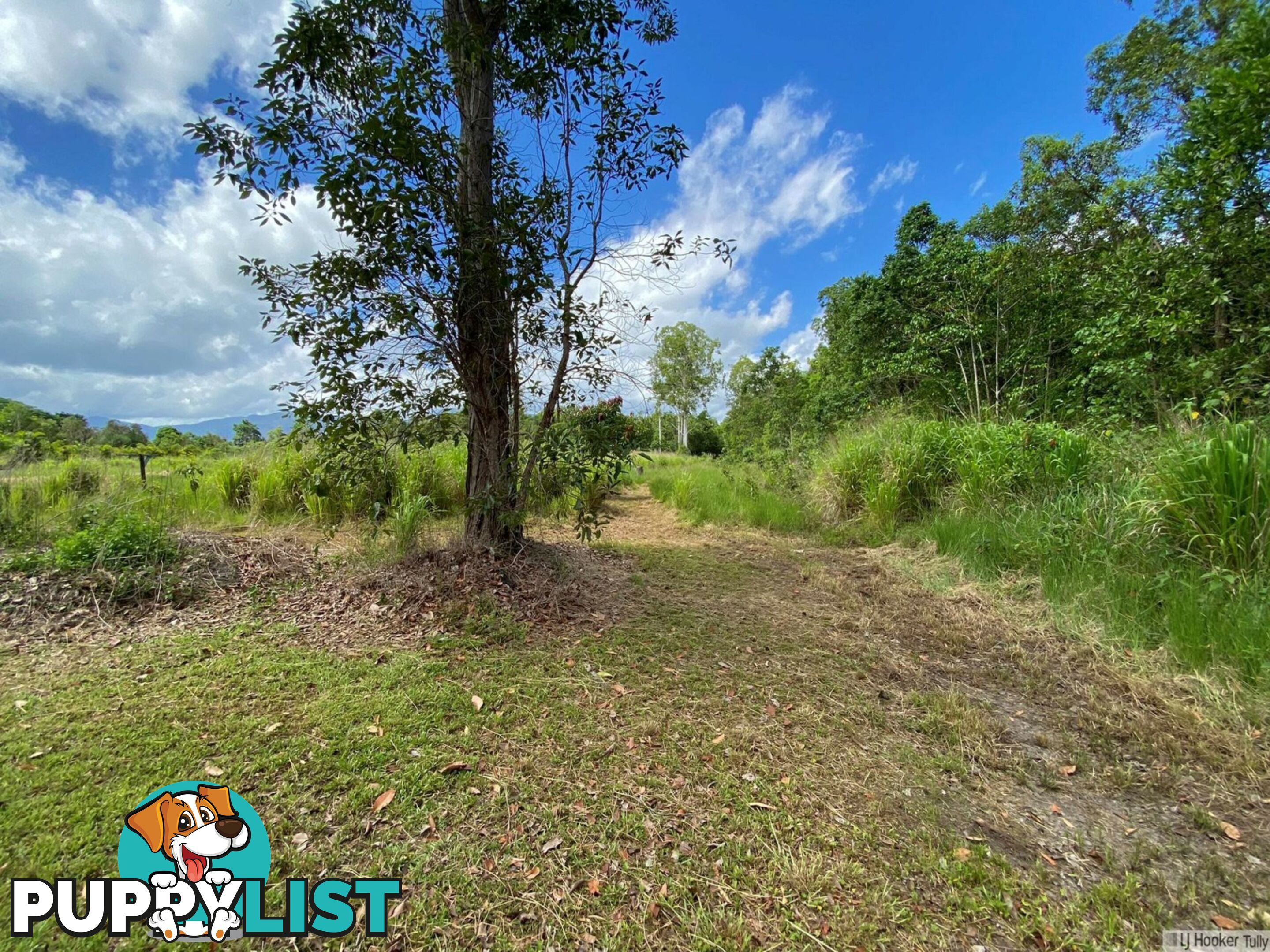 L8 Whitfield Creek Road KENNEDY QLD 4816