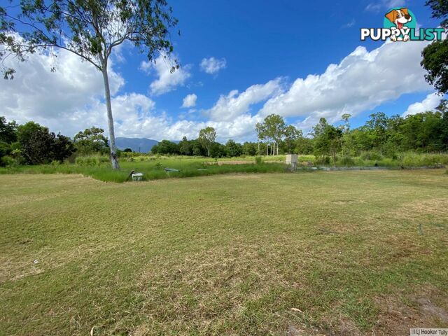 L8 Whitfield Creek Road KENNEDY QLD 4816