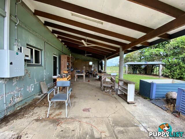 47 Brosnan Road LOWER TULLY QLD 4854