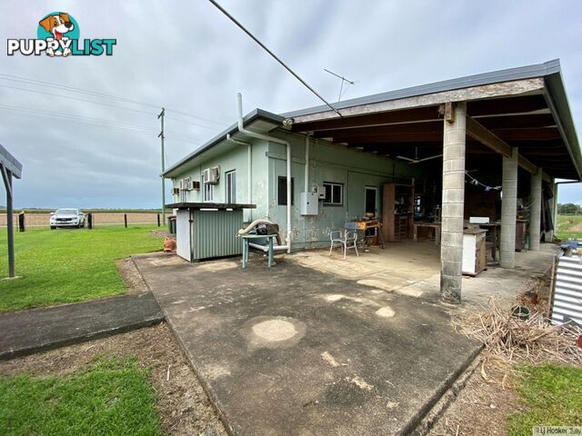 47 Brosnan Road LOWER TULLY QLD 4854