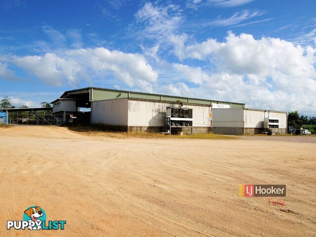 253 North Davidson Road MUNRO PLAINS QLD 4854