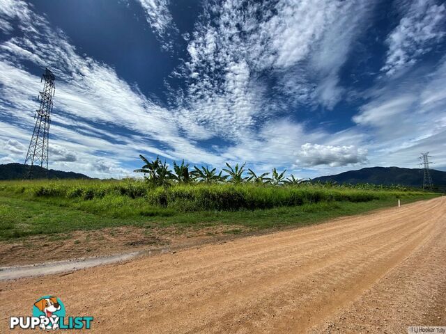 L1 & L4 Old Telegraph Road EAST FELUGA QLD 4854