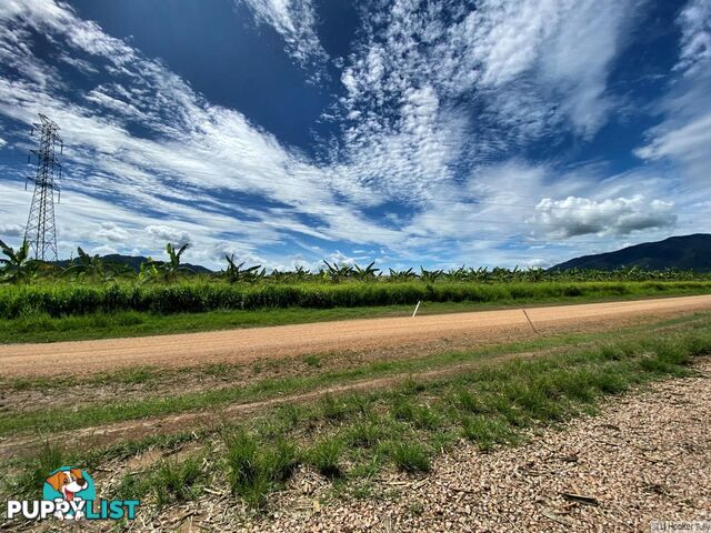 L1 & L4 Old Telegraph Road EAST FELUGA QLD 4854