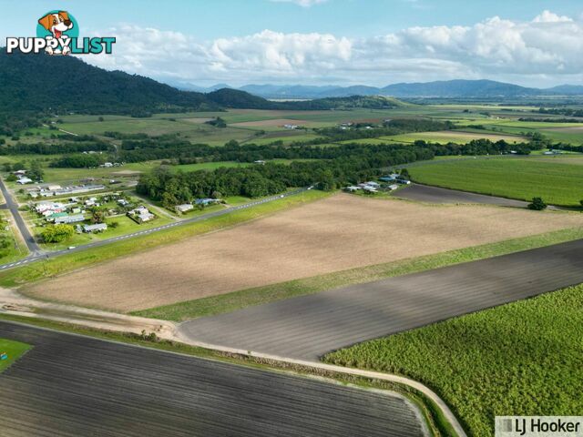 Lot 2 Bruce Highway EL ARISH QLD 4855
