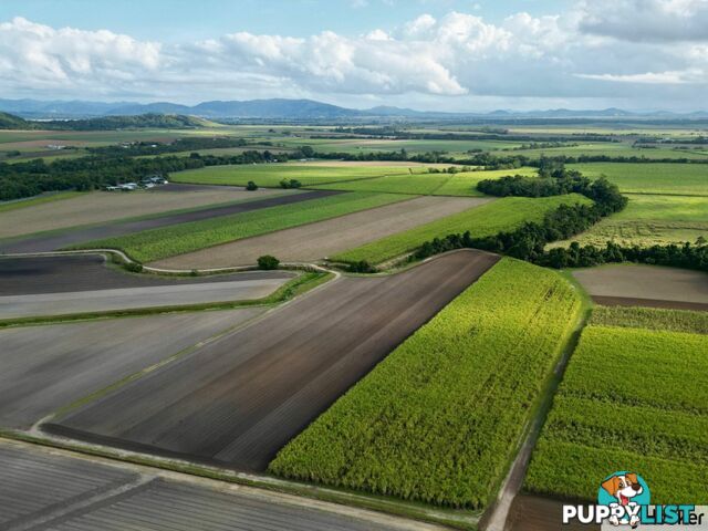 Lot 2 Bruce Highway EL ARISH QLD 4855
