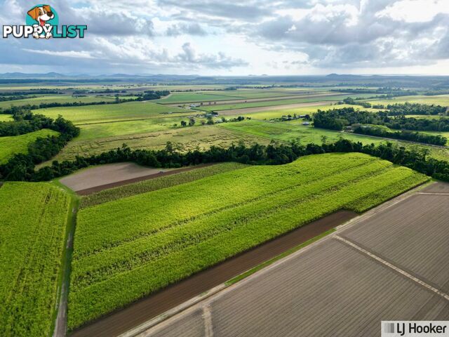 Lot 2 Bruce Highway EL ARISH QLD 4855