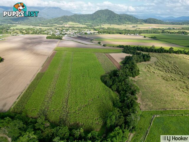 Lot 2 Bruce Highway EL ARISH QLD 4855