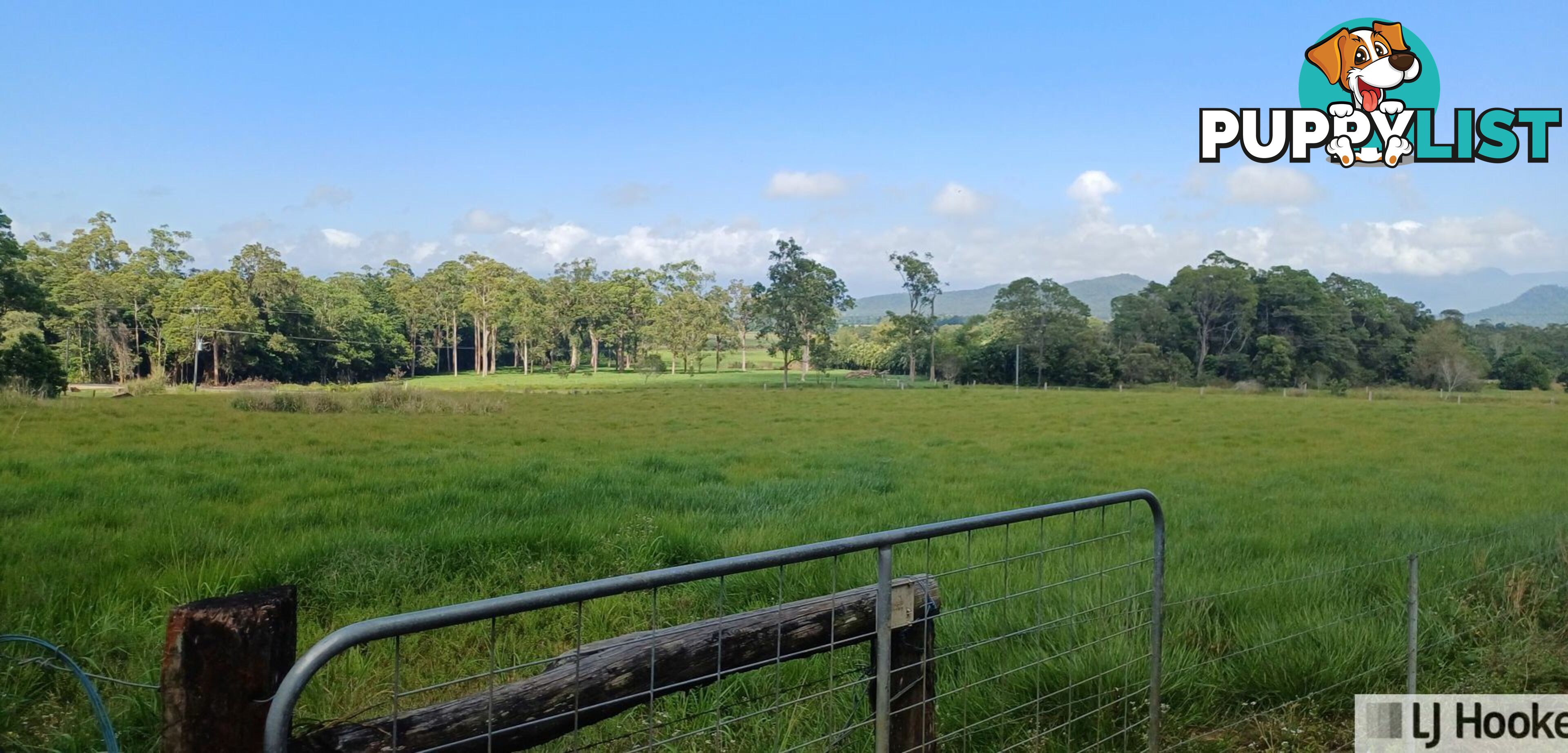 702 Tully Gorge Road JARRA CREEK QLD 4854