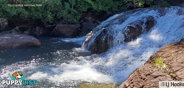 702 Tully Gorge Road JARRA CREEK QLD 4854