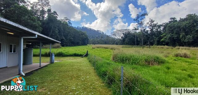 702 Tully Gorge Road JARRA CREEK QLD 4854