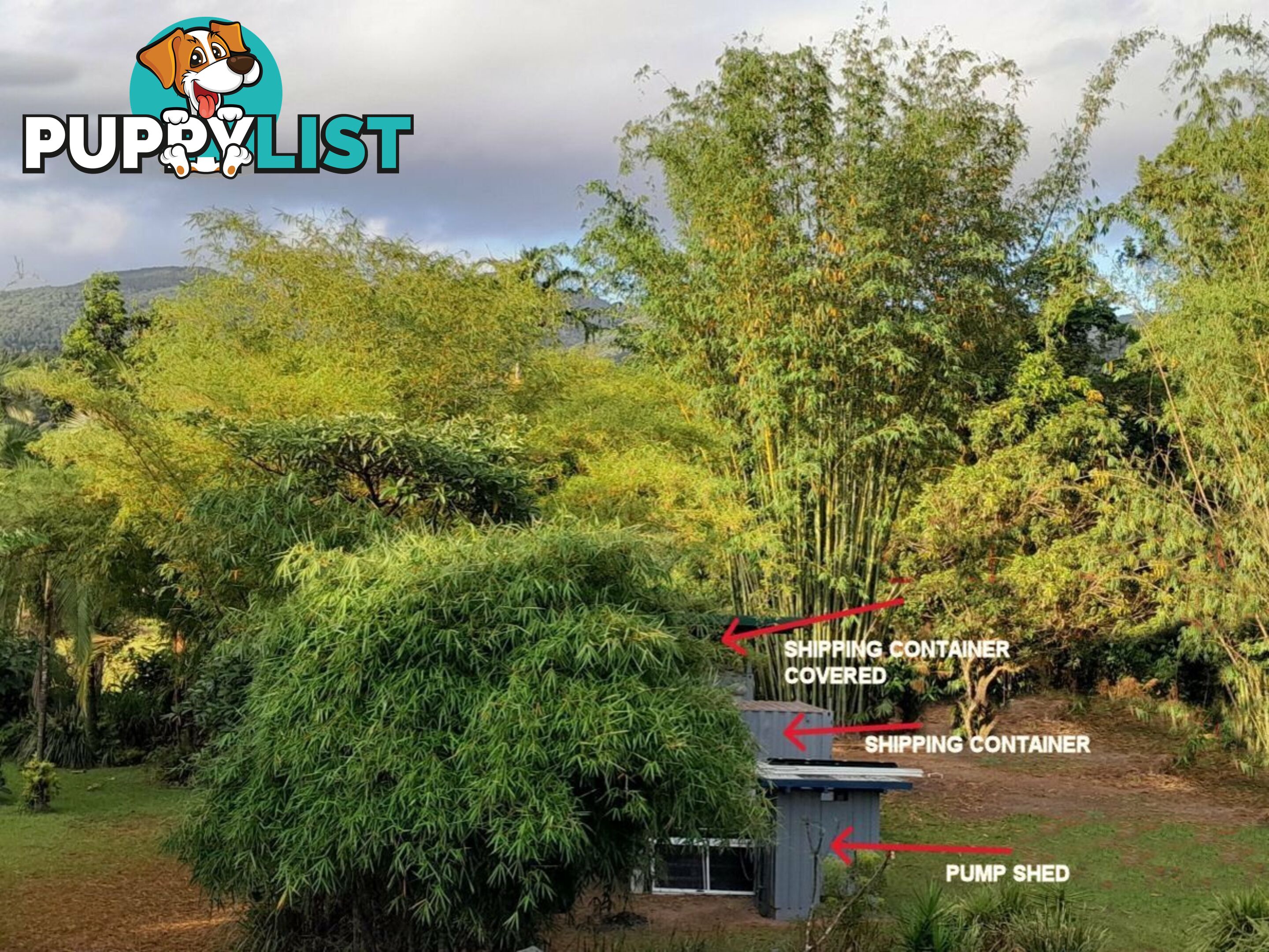 Lot 15 Esther Court BULGUN QLD 4854