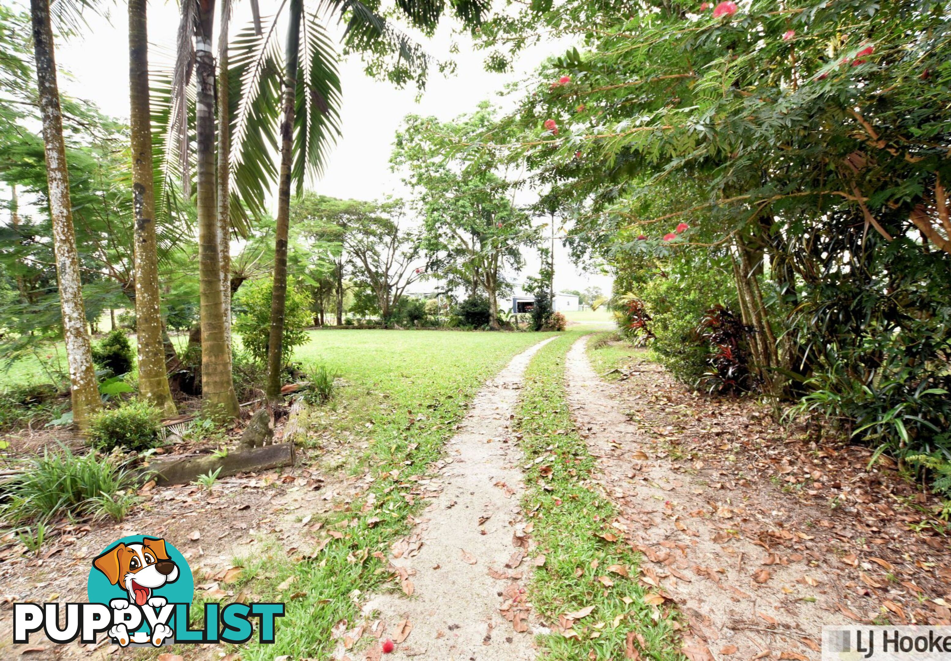 17 Sundown Road CULLINANE QLD 4860