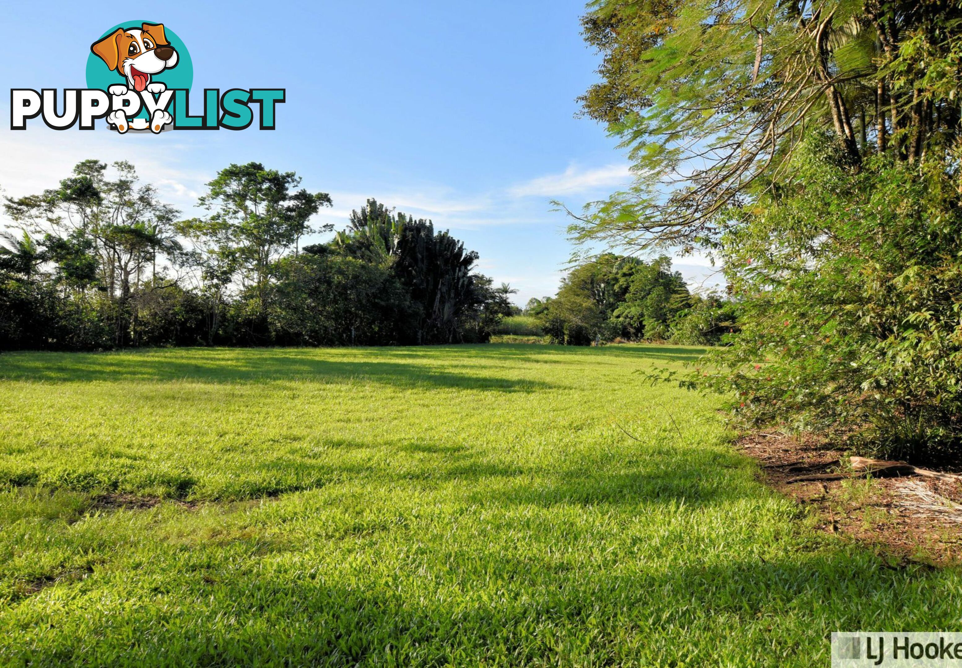 17 Sundown Road CULLINANE QLD 4860