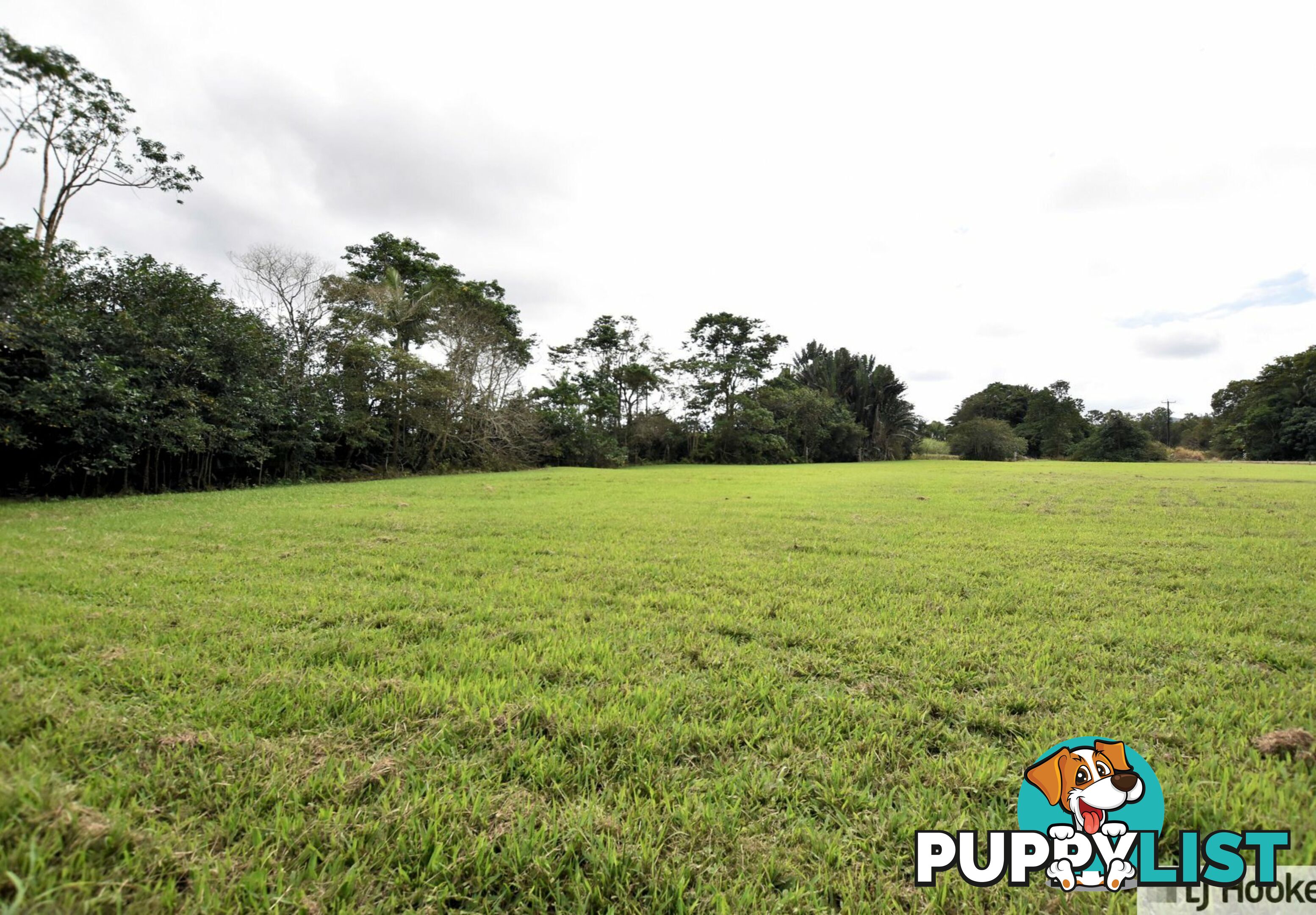 17 Sundown Road CULLINANE QLD 4860