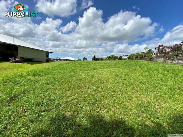 33 Pease Street TULLY QLD 4854