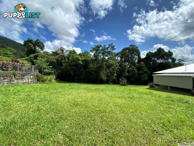 33 Pease Street TULLY QLD 4854