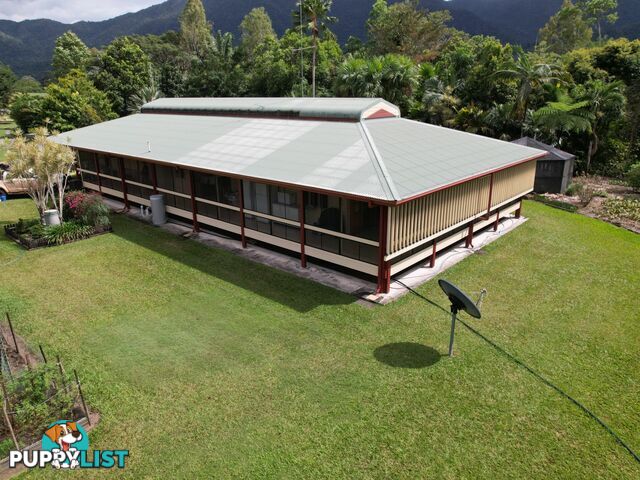957 Kennedy Creek Rd CARRUCHAN QLD 4816