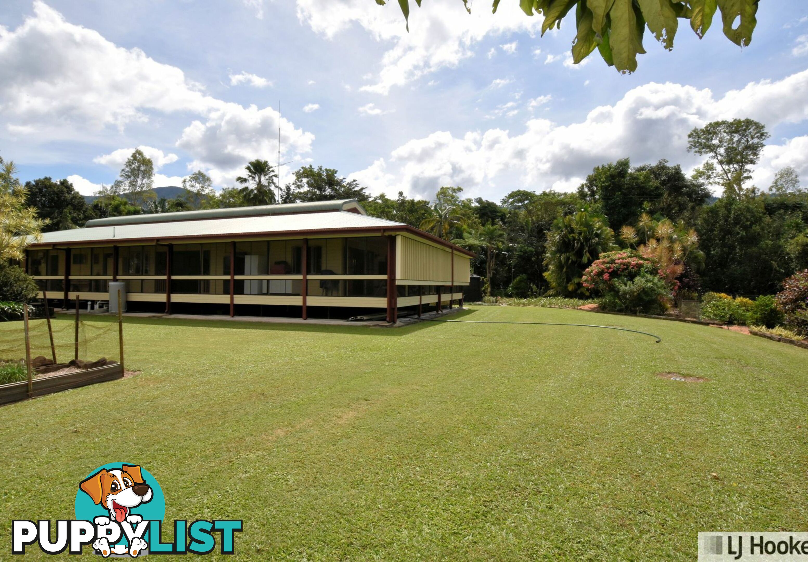957 Kennedy Creek Rd CARRUCHAN QLD 4816
