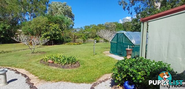 62 Vipiana Drive TULLY HEADS QLD 4854