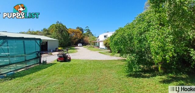 62 Vipiana Drive TULLY HEADS QLD 4854