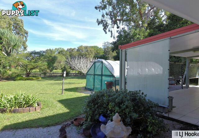 62 Vipiana Drive TULLY HEADS QLD 4854