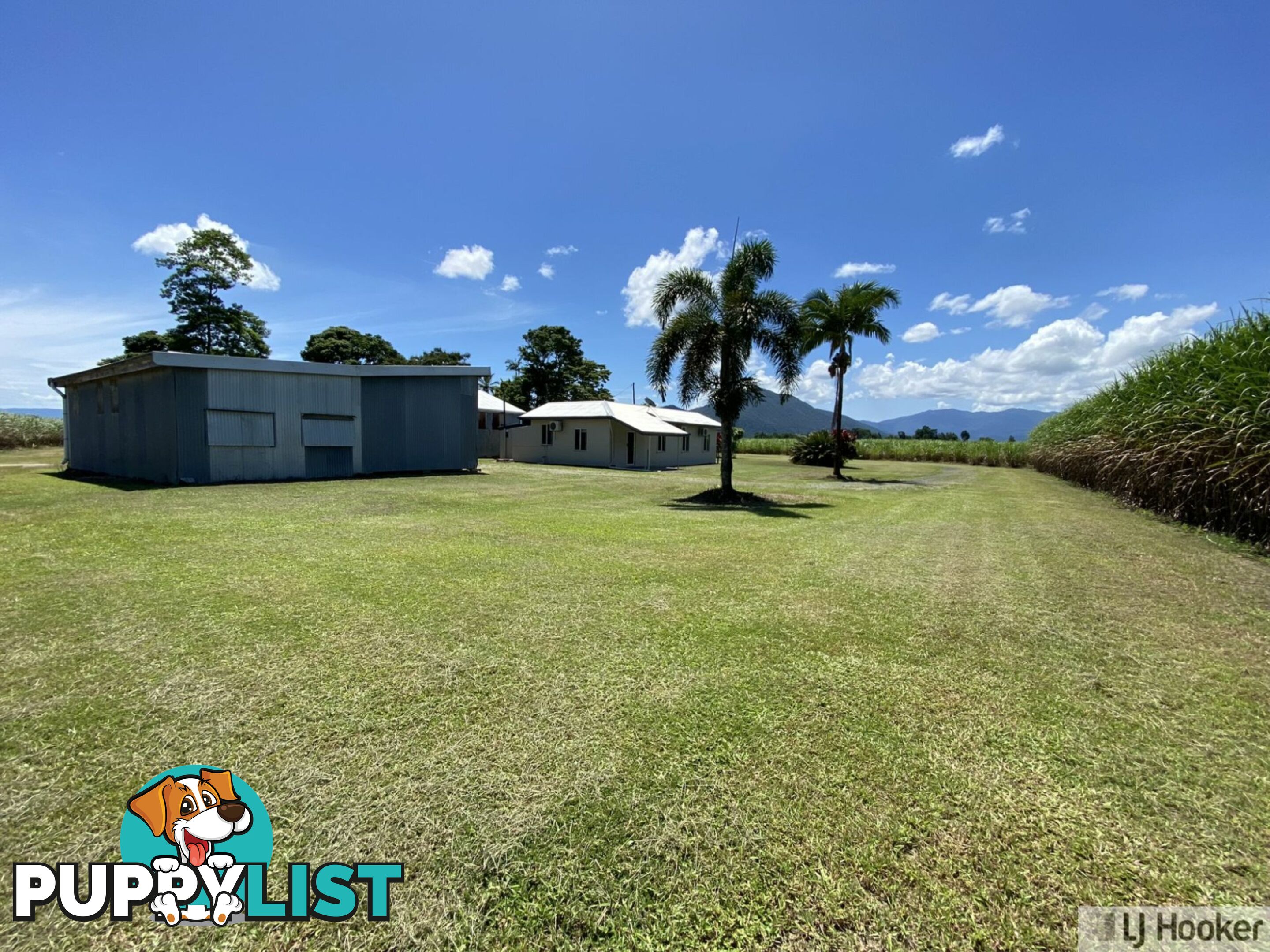 68 Senko SILKY OAK QLD 4854