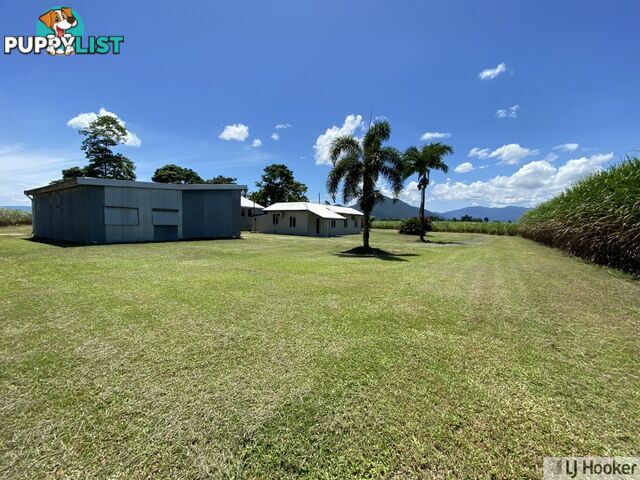 68 Senko SILKY OAK QLD 4854