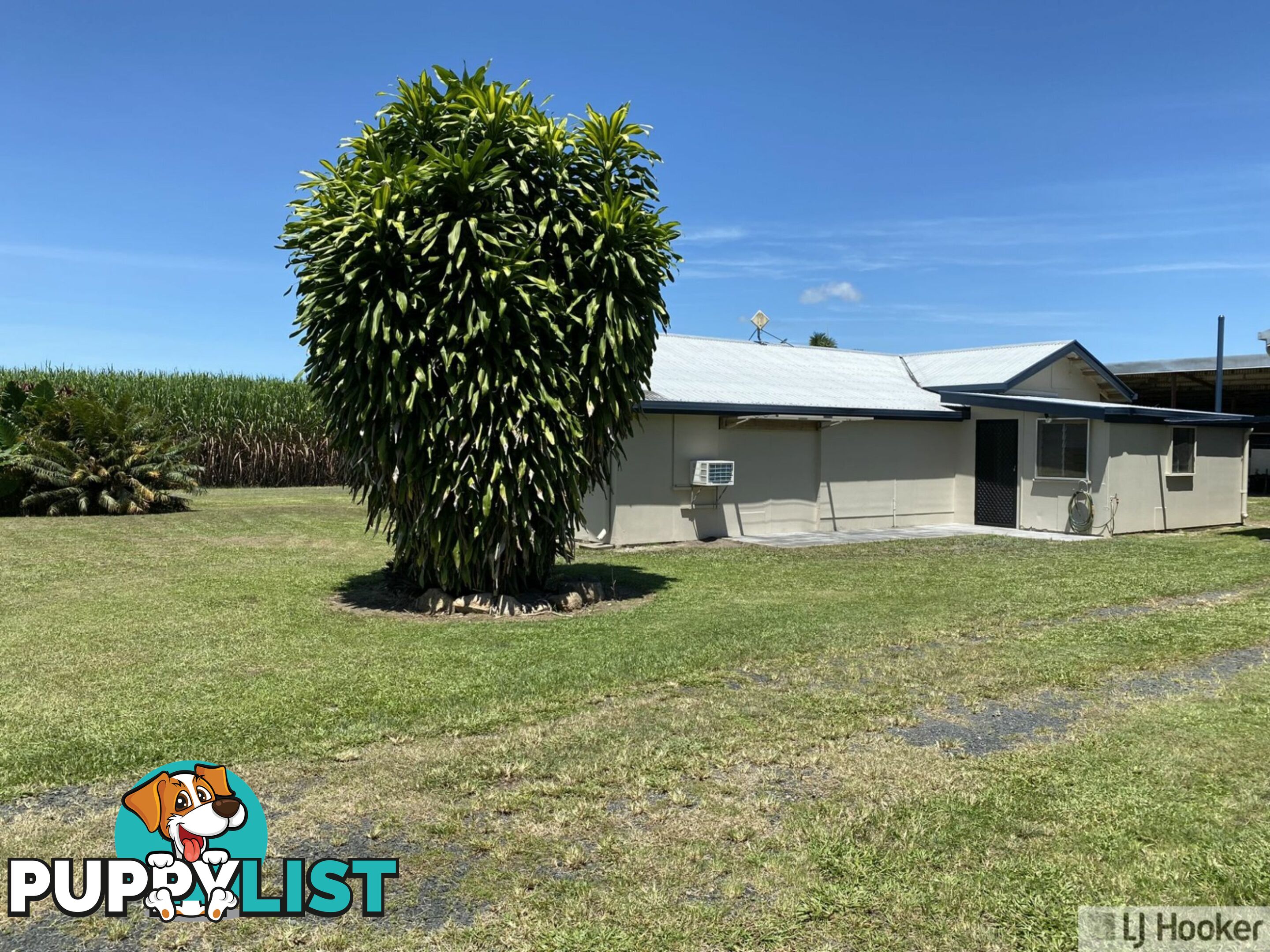 68 Senko SILKY OAK QLD 4854