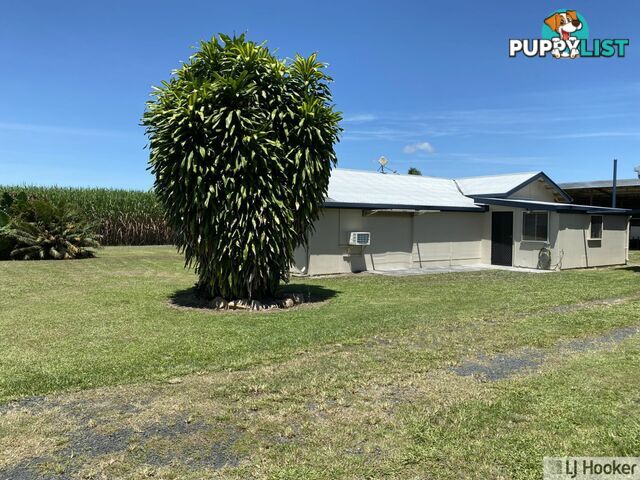 68 Senko SILKY OAK QLD 4854