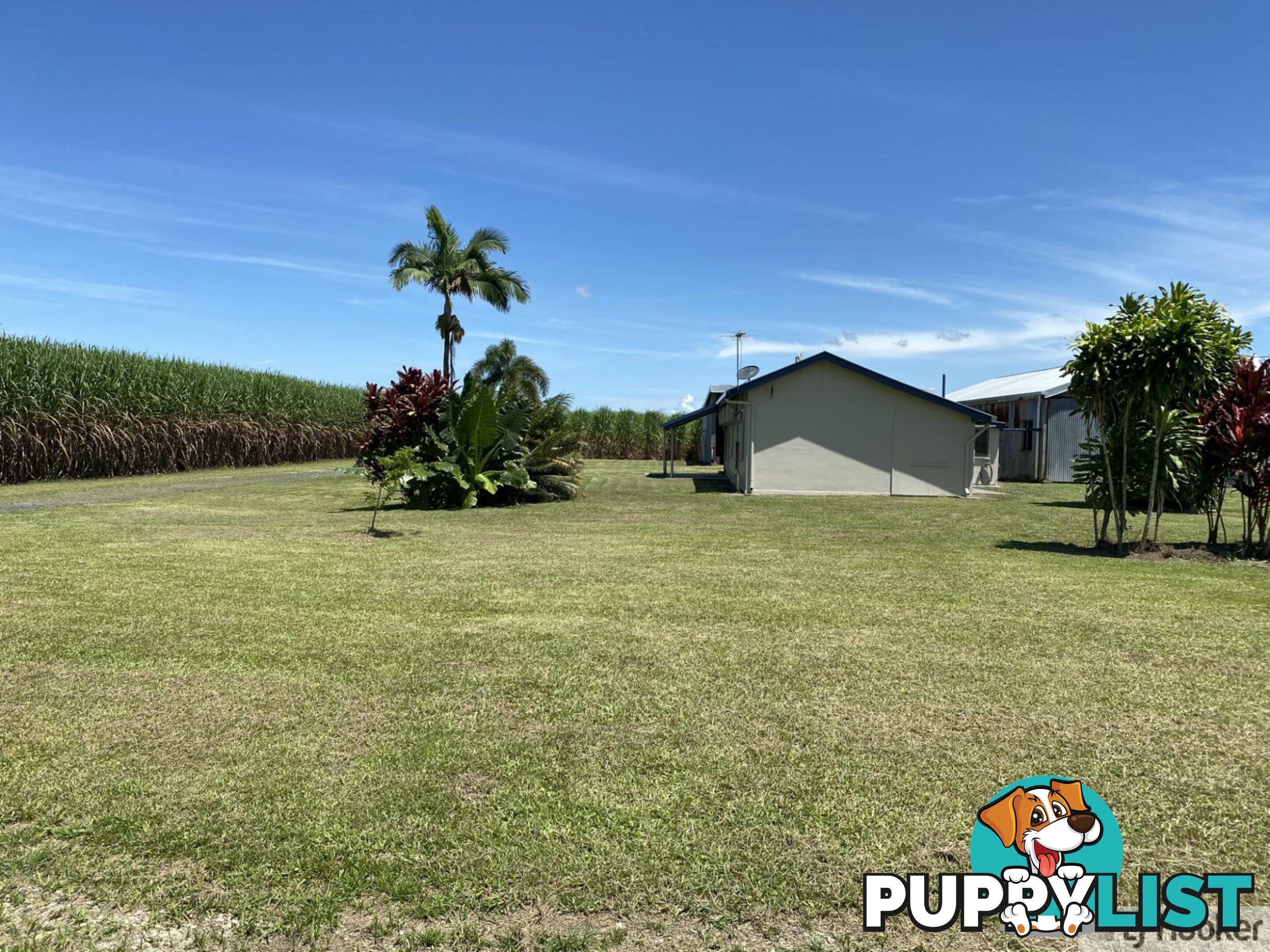 68 Senko SILKY OAK QLD 4854