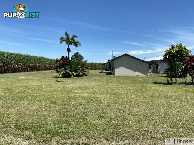 68 Senko SILKY OAK QLD 4854