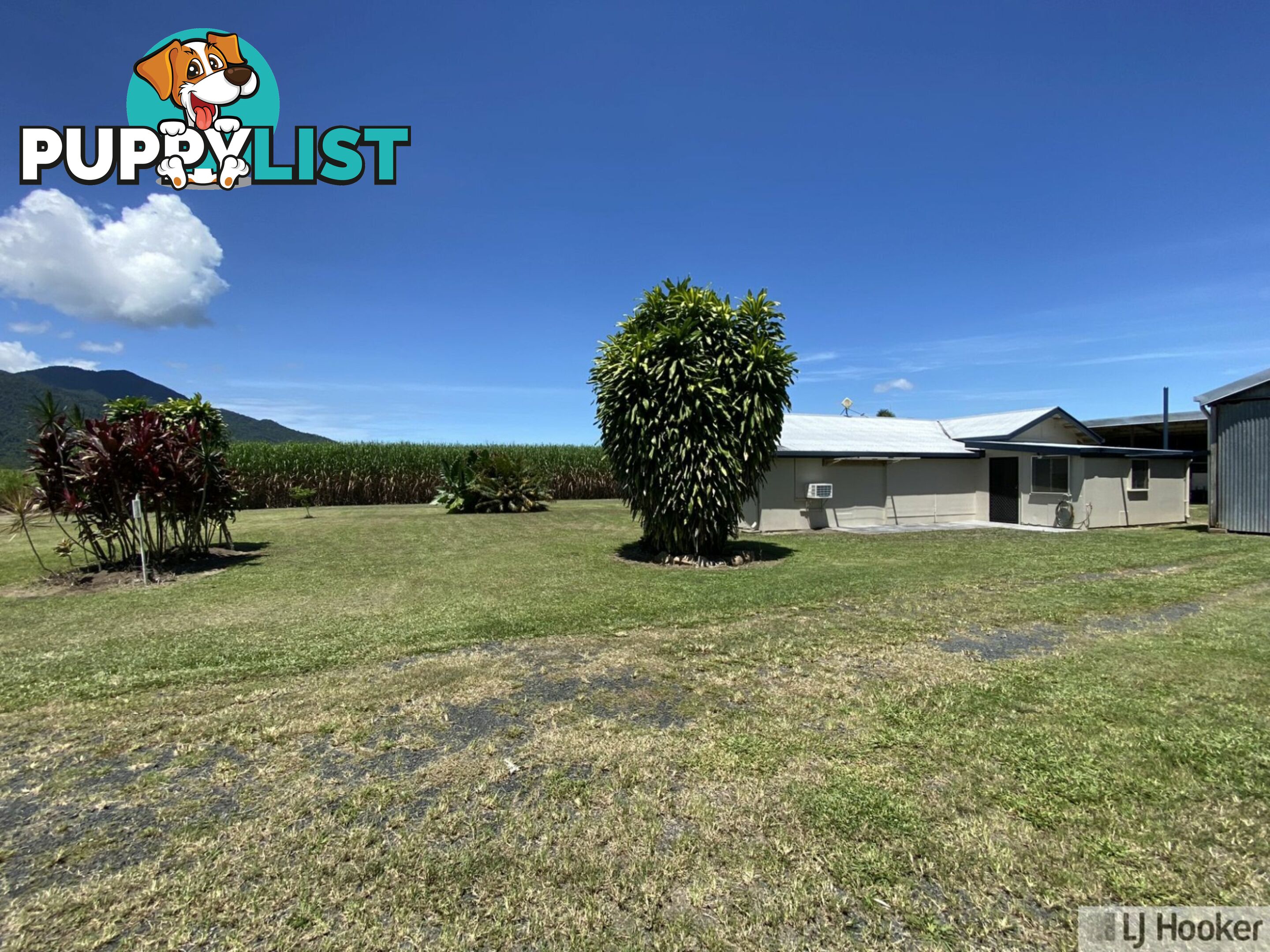 68 Senko SILKY OAK QLD 4854