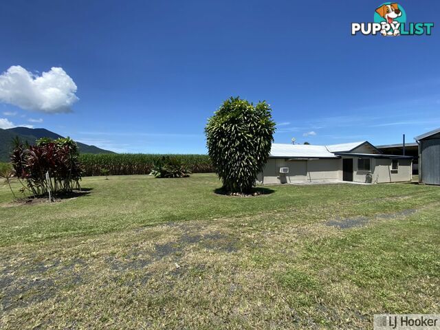 68 Senko SILKY OAK QLD 4854