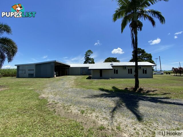 68 Senko SILKY OAK QLD 4854