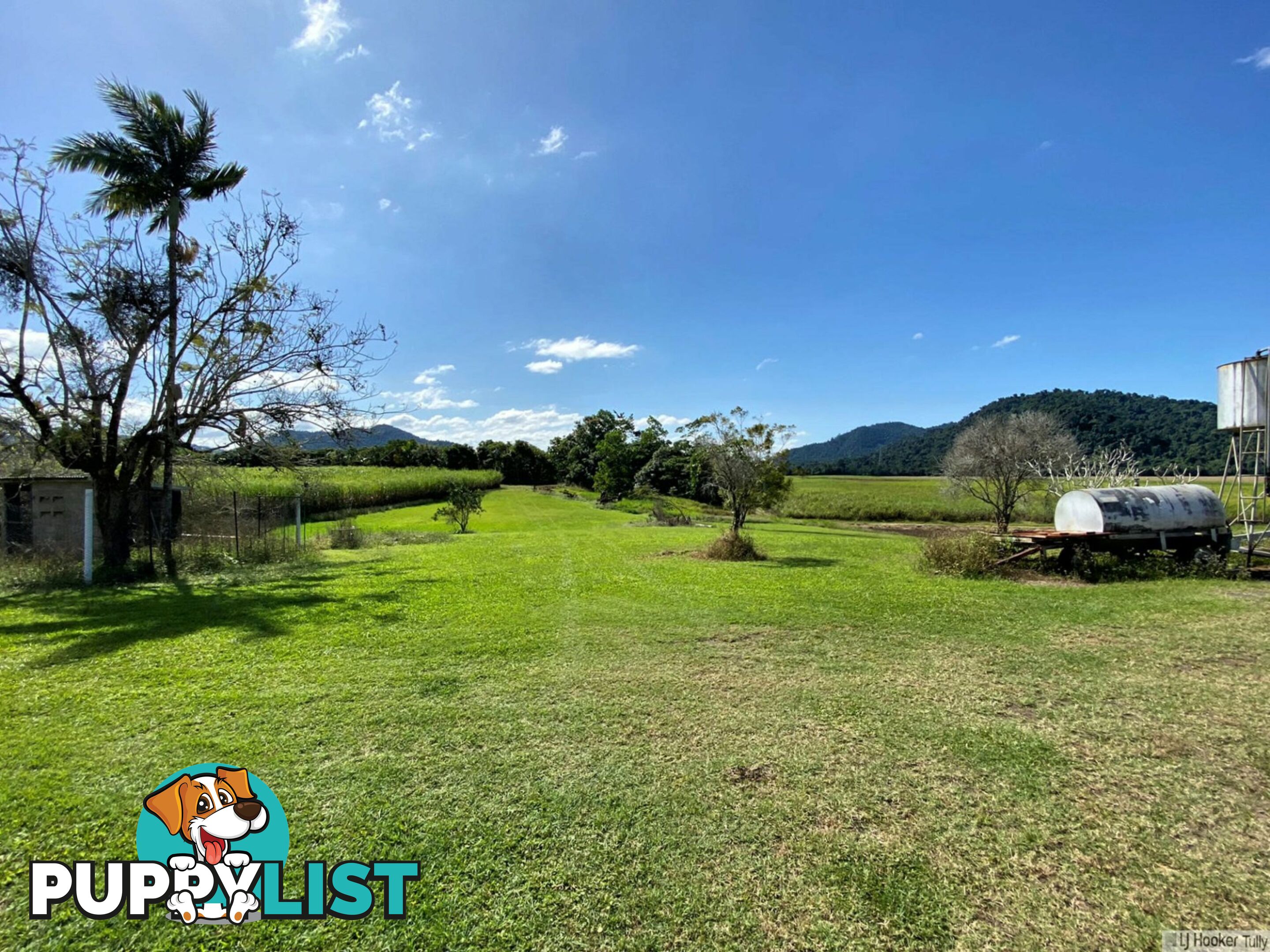 1136 Silkwood Japoon Road JAPOONVALE QLD 4856