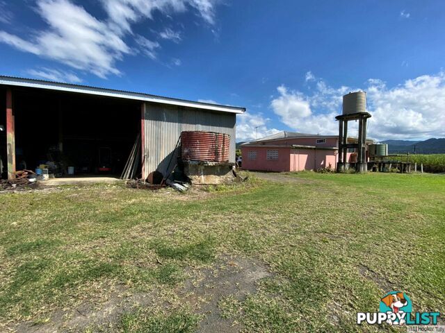 1136 Silkwood Japoon Road JAPOONVALE QLD 4856