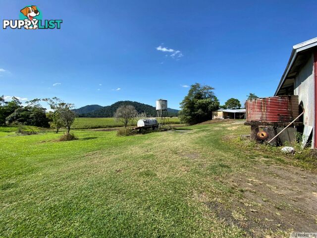 1136 Silkwood Japoon Road JAPOONVALE QLD 4856