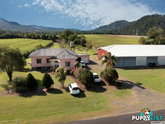 1136 Silkwood Japoon Road JAPOONVALE QLD 4856