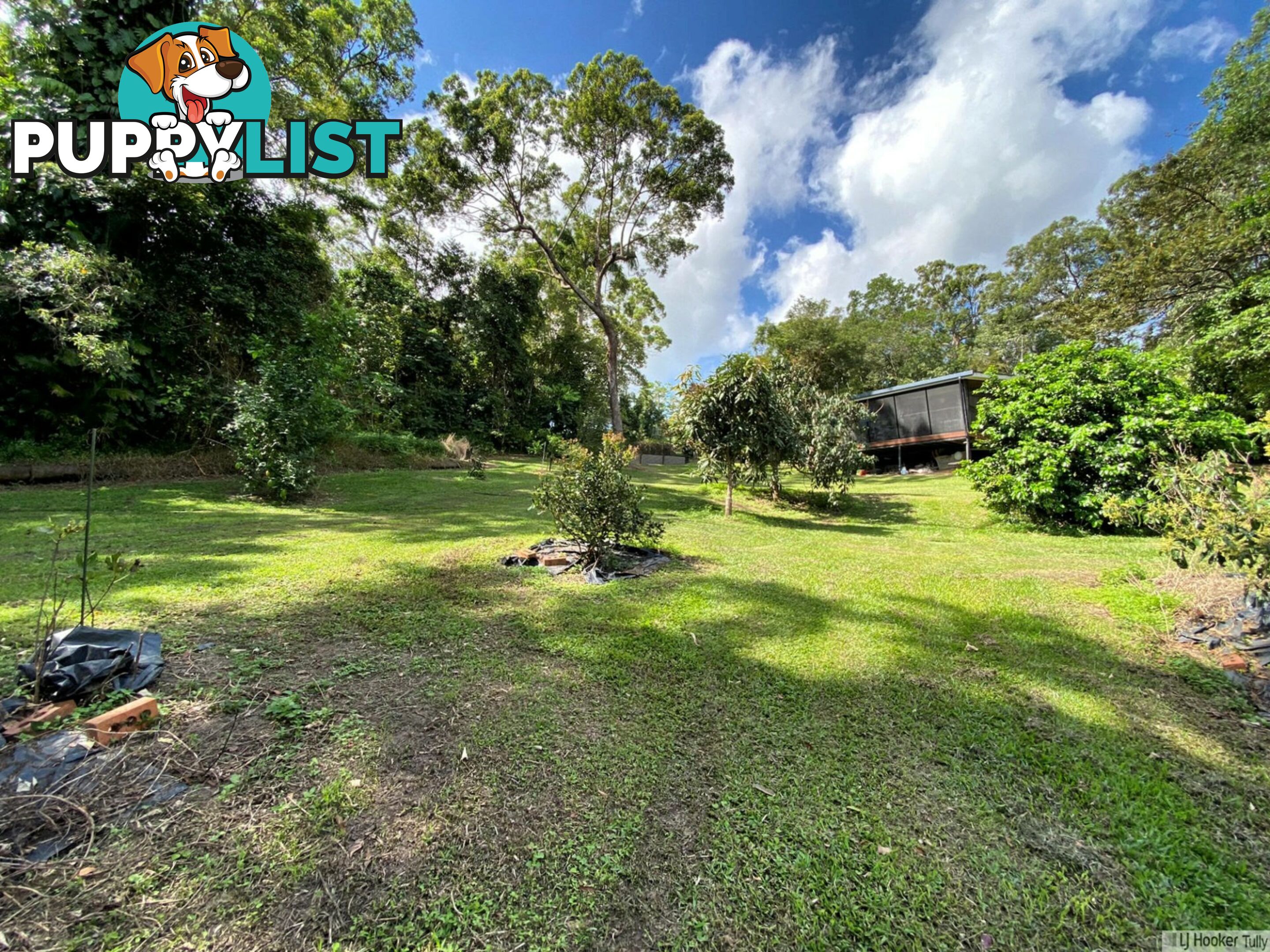 59 Mountain View Close MARIA CREEKS QLD 4855