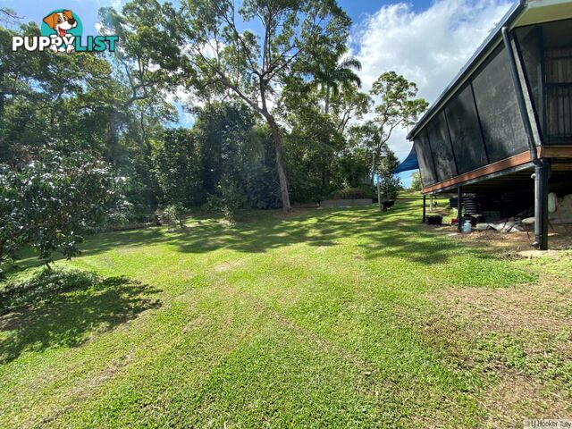 59 Mountain View Close MARIA CREEKS QLD 4855