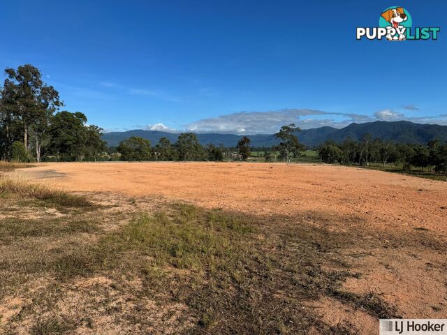 Lot 3 Lily Creek Road ELLERBECK QLD 4816