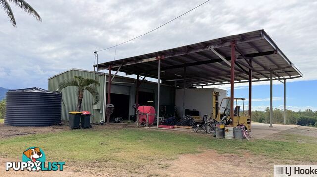 Lot 3 Lily Creek Road ELLERBECK QLD 4816