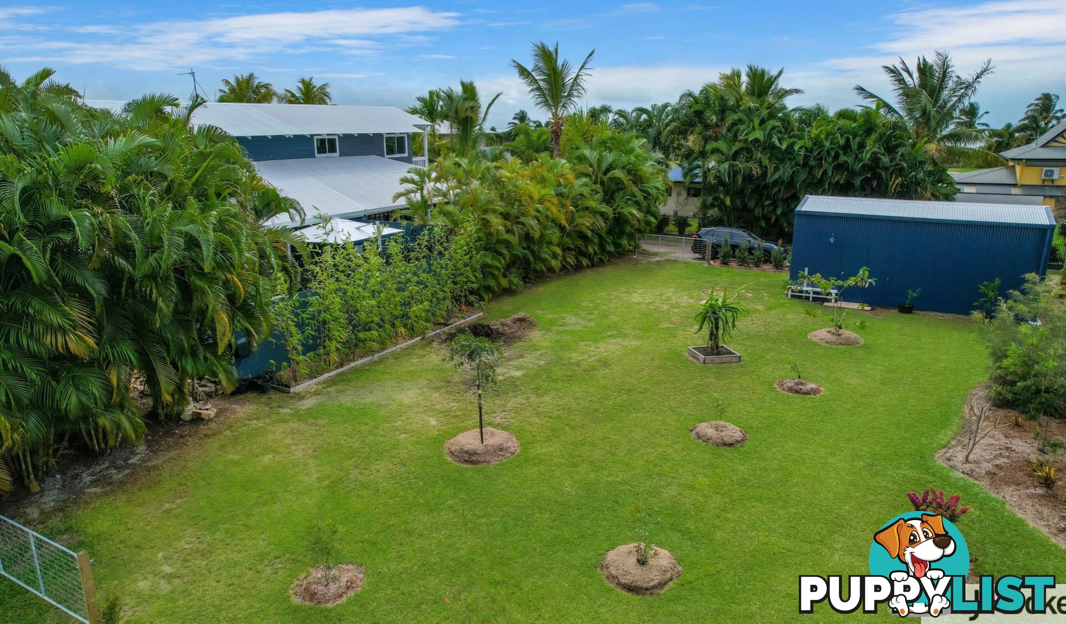 11 Cassia Crescent CARDWELL QLD 4849