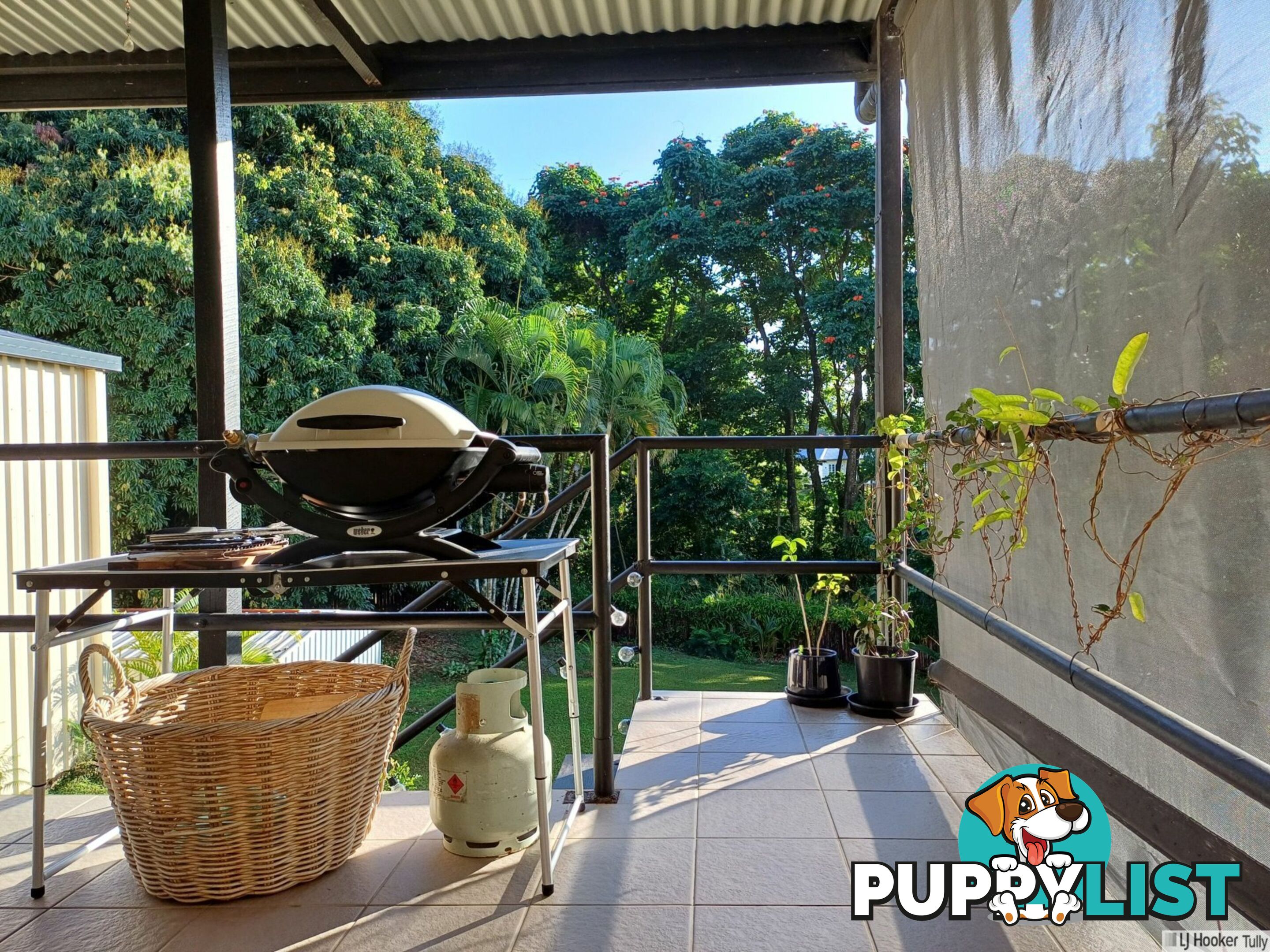 12 Briggs Street TULLY QLD 4854