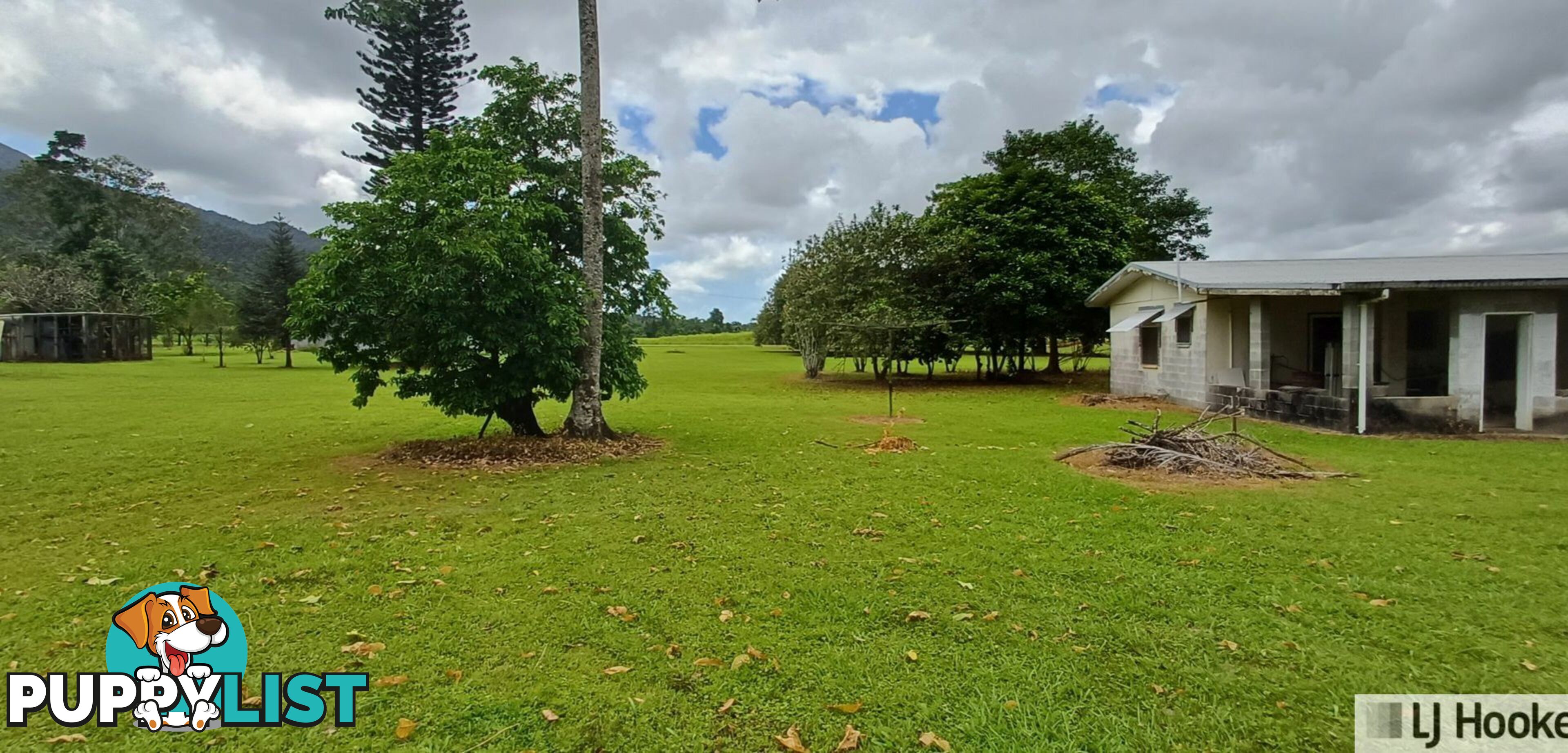 65 Deluca Road SILKY OAK QLD 4854